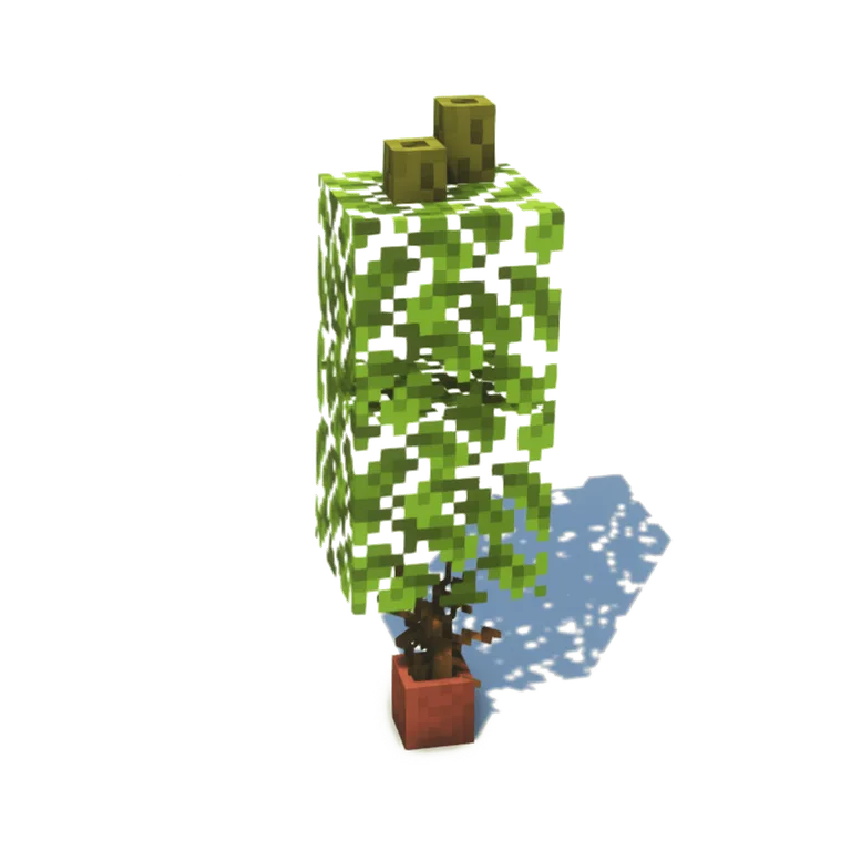 红陶盆栽果树(Sansevieria)建筑教程