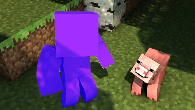 与猪合影(Picture with Pig)