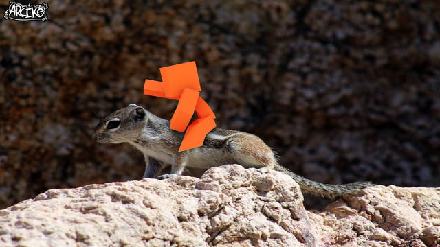 松鼠(Squirrel)